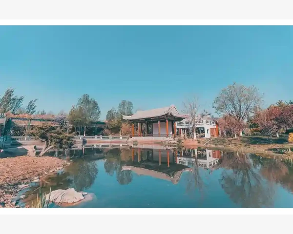 脾胃不好时吃红薯：健康小窍门